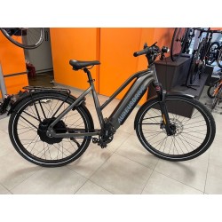 Aureusdive pignion...